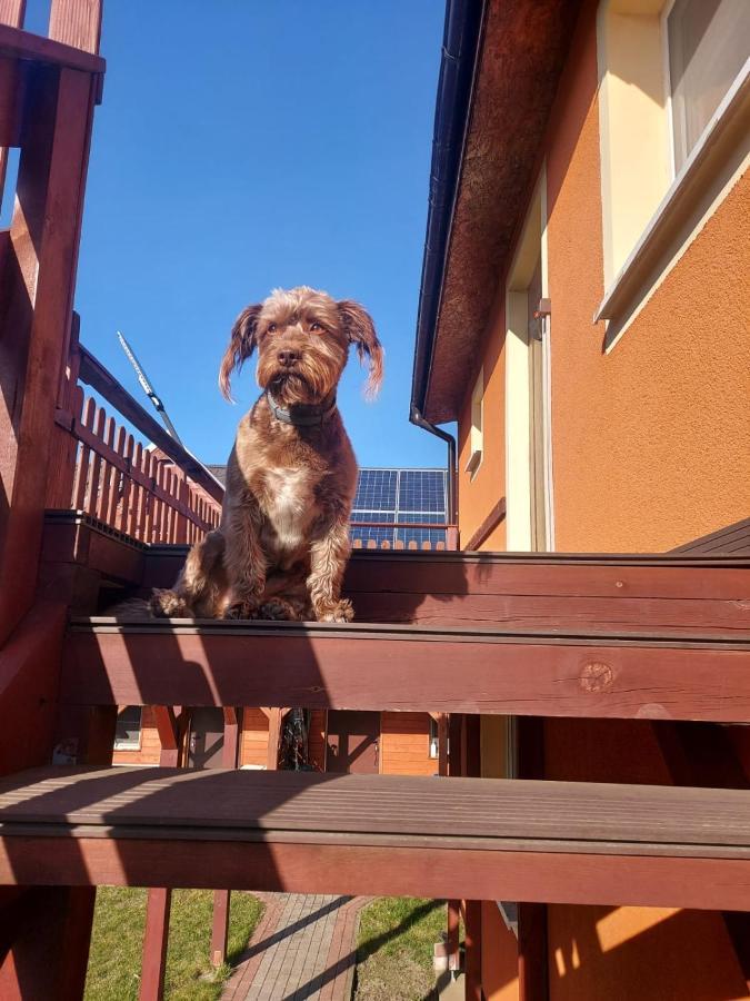 Siedlisko Na Zaciszu Apartamenty Kąty Rybackie Eksteriør bilde